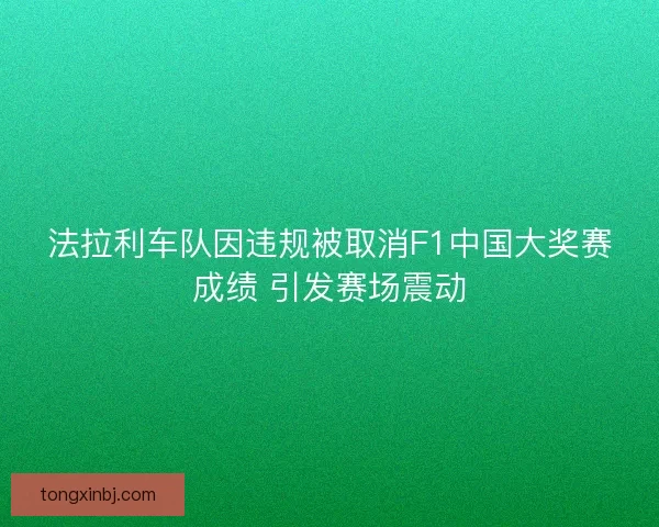法拉利车队因违规被取消F1中国大奖赛成绩 引发赛场震动
