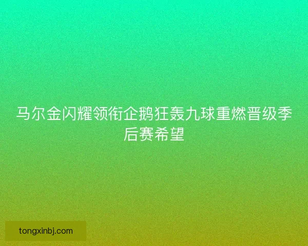 马尔金闪耀领衔企鹅狂轰九球重燃晋级季后赛希望