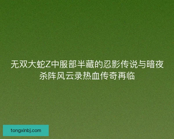 无双大蛇Z中服部半藏的忍影传说与暗夜杀阵风云录热血传奇再临 无双大蛇Z中服部半藏的忍影传说与暗夜杀阵风云录热血传奇再临