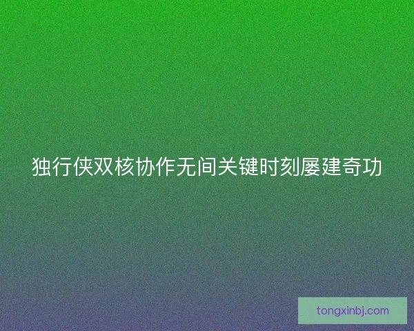 独行侠双核协作无间关键时刻屡建奇功