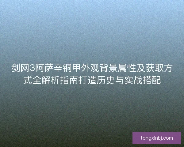 剑网3阿萨辛铜甲外观背景属性及获取方式全解析指南打造历史与实战搭配